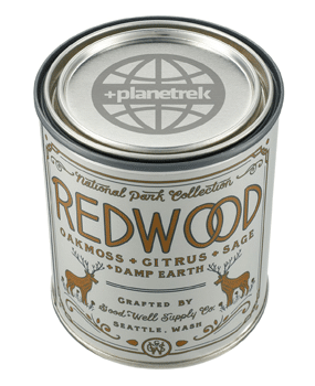 PCNA Redwood National Park Candle in tin can