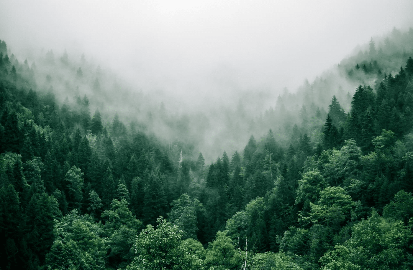 PPAI Greenhouse Gas Assessment