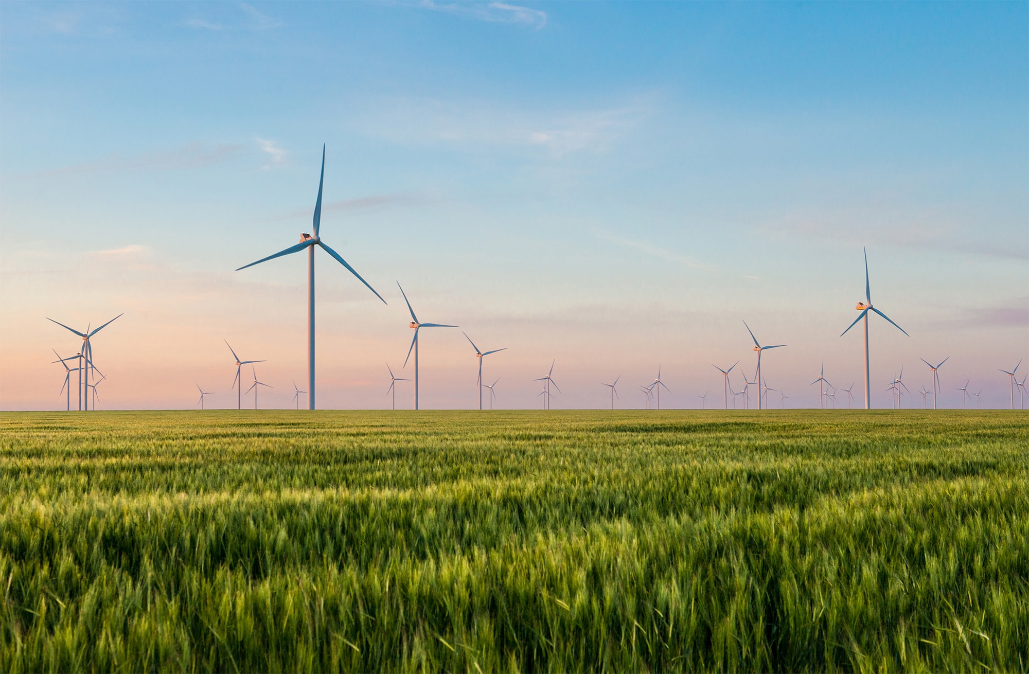 Group of windmills for electric power production in the green field of wheat. Alternative energy sources.Ecologically clean energy sources.