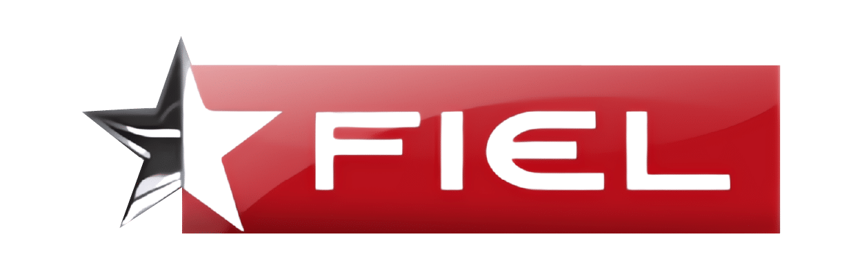 ppai-100-FIEL